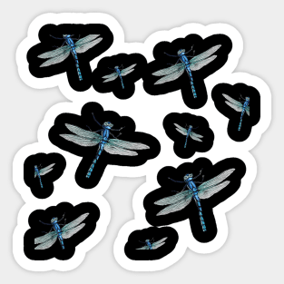 Dragonflies Sticker